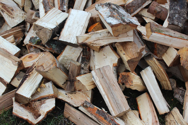 Как купить дрова в гатчинском районе